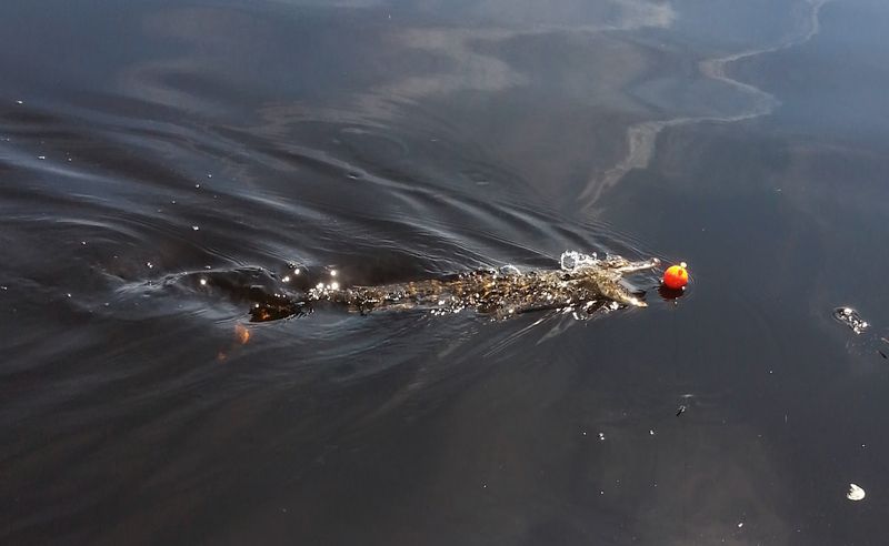 Lake Harney (Seminole/Volusia Counties)