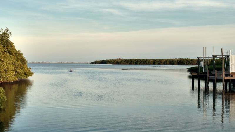 Old Tampa Bay Waterfront: Views That Stop You Mid-Sentence