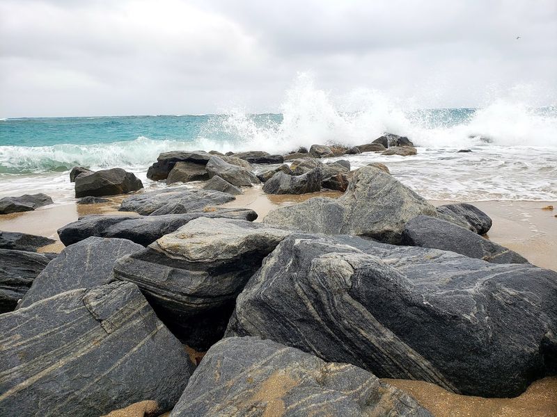 The Underwater World of the Inlet