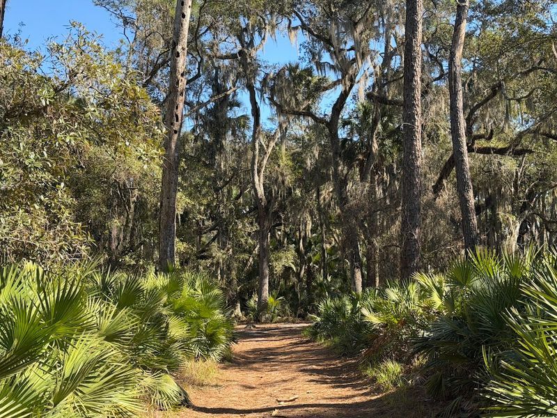 Walking Trails Through Untouched Wilderness