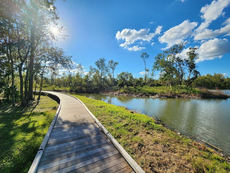 Walking Trails That Make Exercise Feel Easy