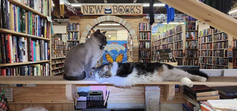 The atmosphere is cozy, creative, and memorable