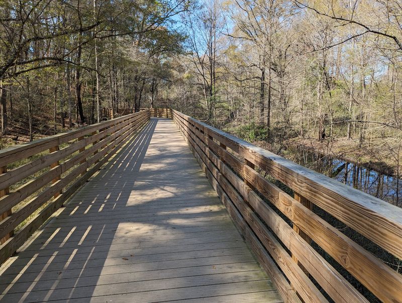 Dog-Friendly Trails and Park Areas