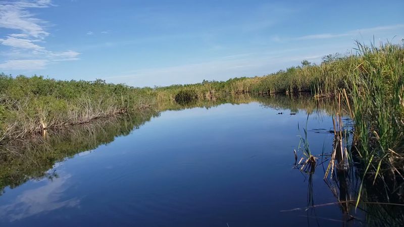 Paddle a Canoe or Kayak