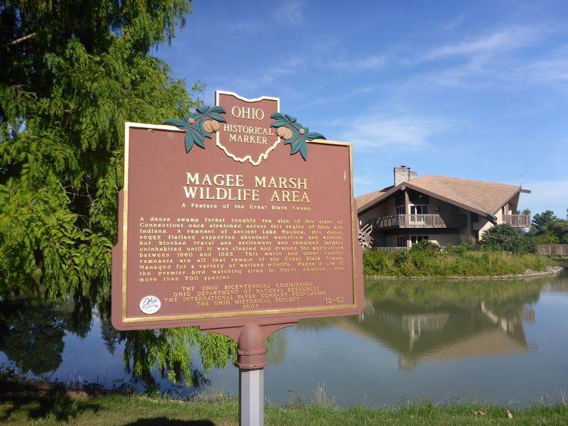 Magee Marsh Wildlife Area, Oak Harbor, OH