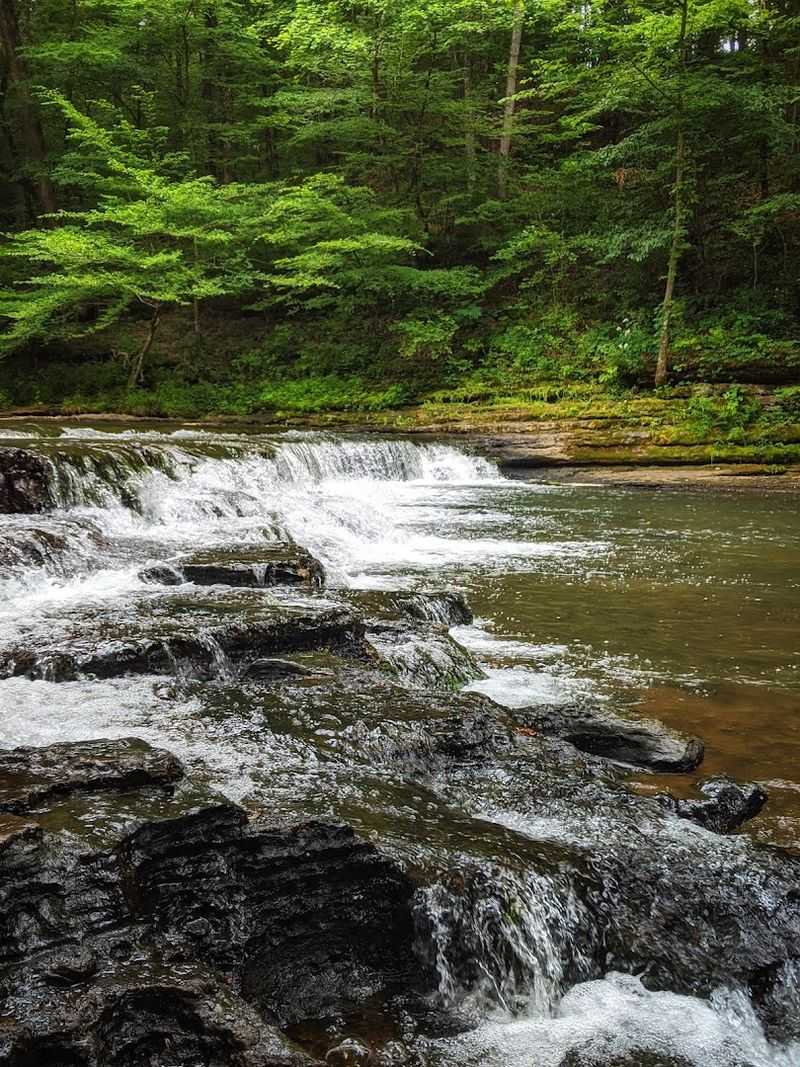 Shoal Creek Trail — David Crockett State Park