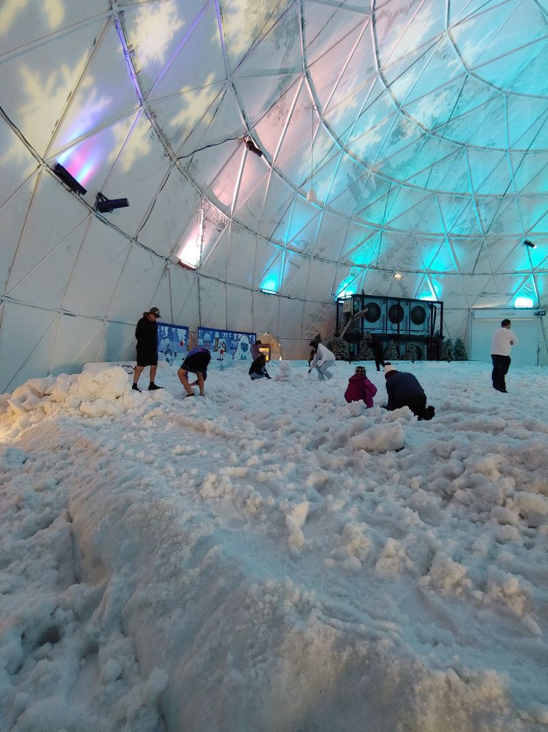 The Arctic Igloo and Snow Dome