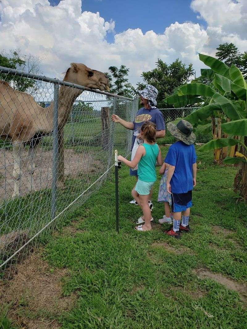 Feed Exotic Animals You'd Never Expect in Central Florida