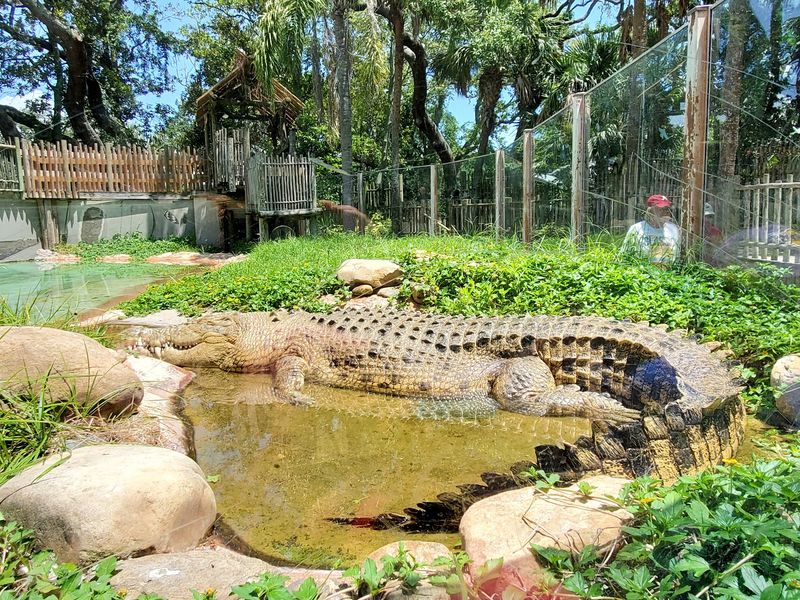 Meet Rare and Exotic Reptile Species