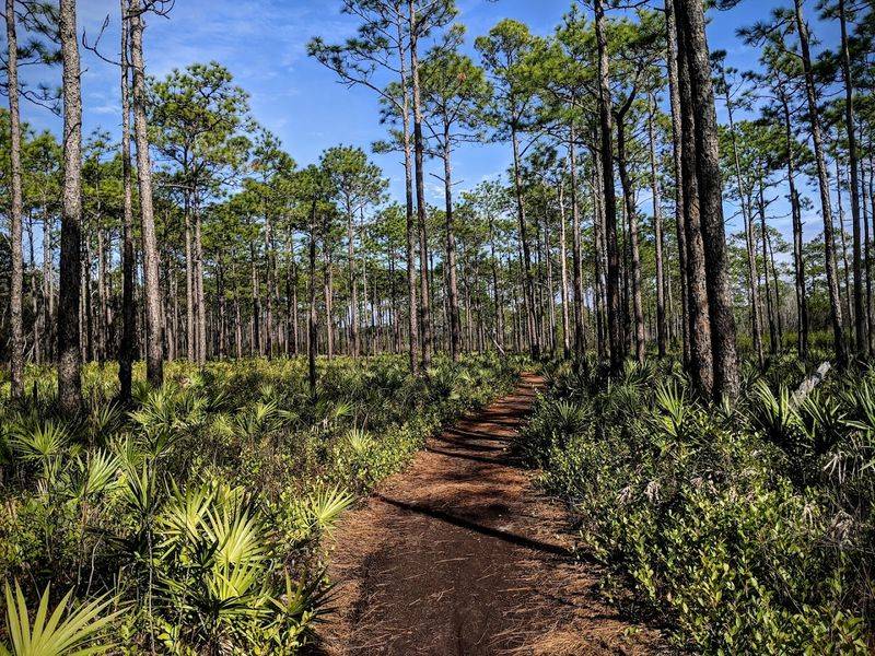 Trails That Show You Florida's Wild Side