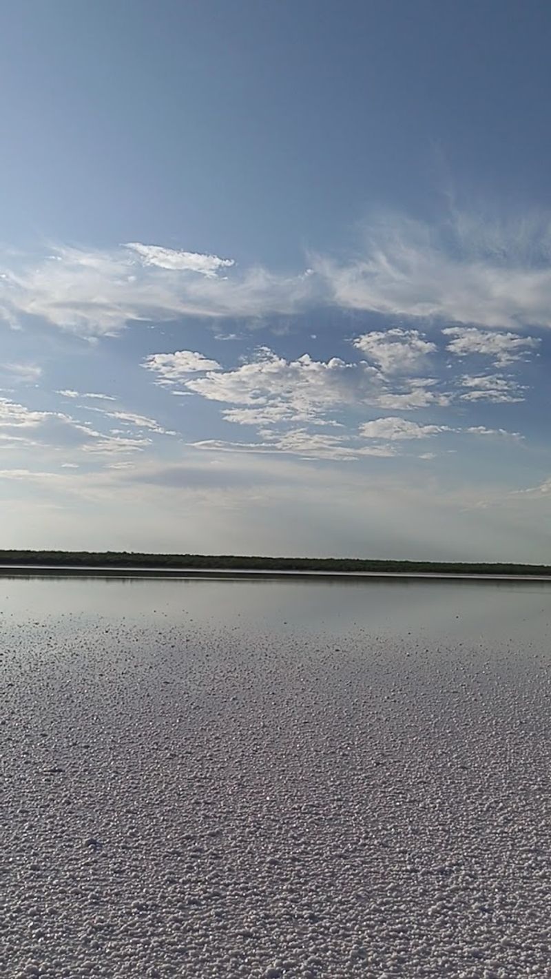The Sparkling Salt Crystals Up Close