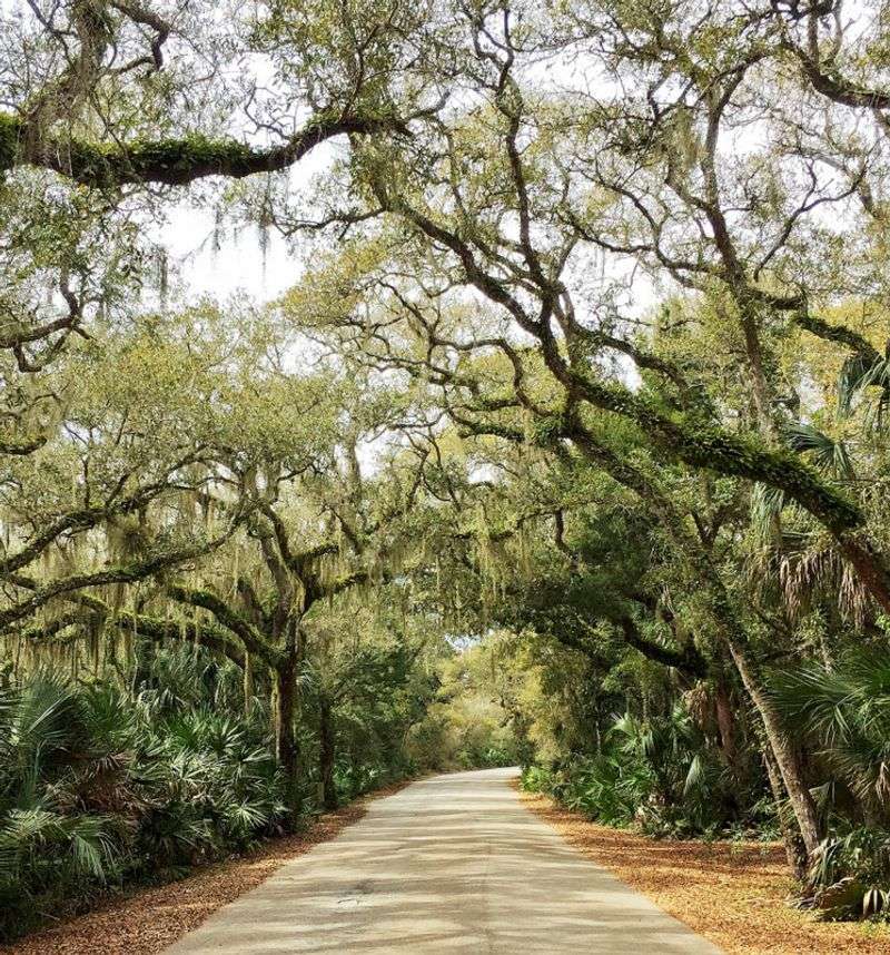 Anastasia State Park (St. Augustine)