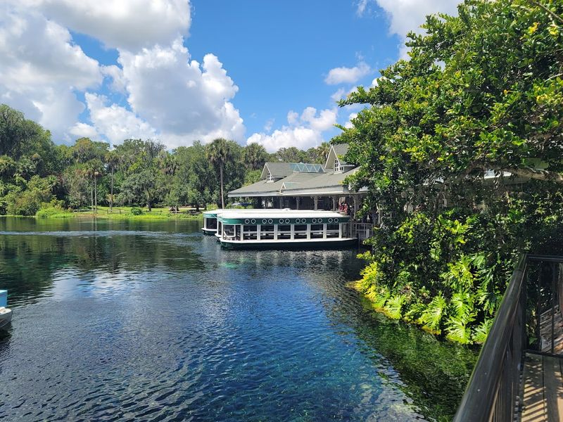 Glass Bottom Boat Tours That Bring the River Floor to Life