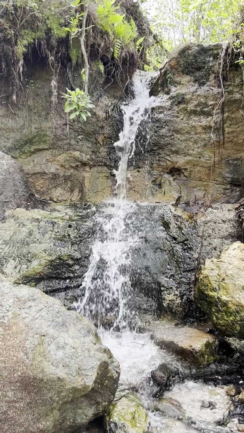Econfina Creek Falls (Washington County)