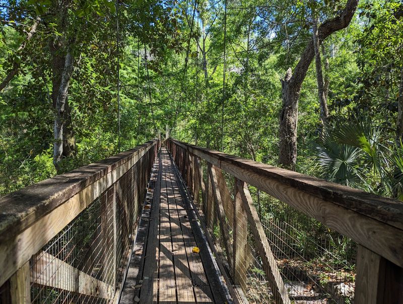 Ravine Gardens Suspension Bridge Hike