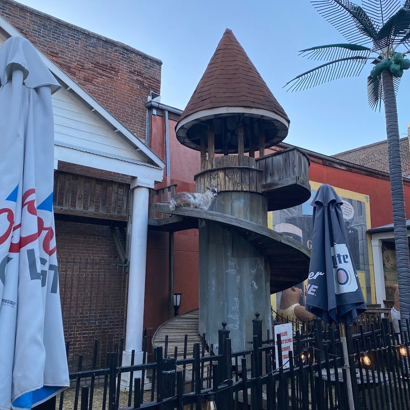 Meet the Famous Tower-Climbing Goats