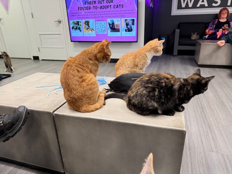 What To Expect During Your Visit