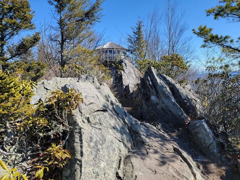 Mount Cammerer Belongs on Every Tennessee Hiker's Bucket List