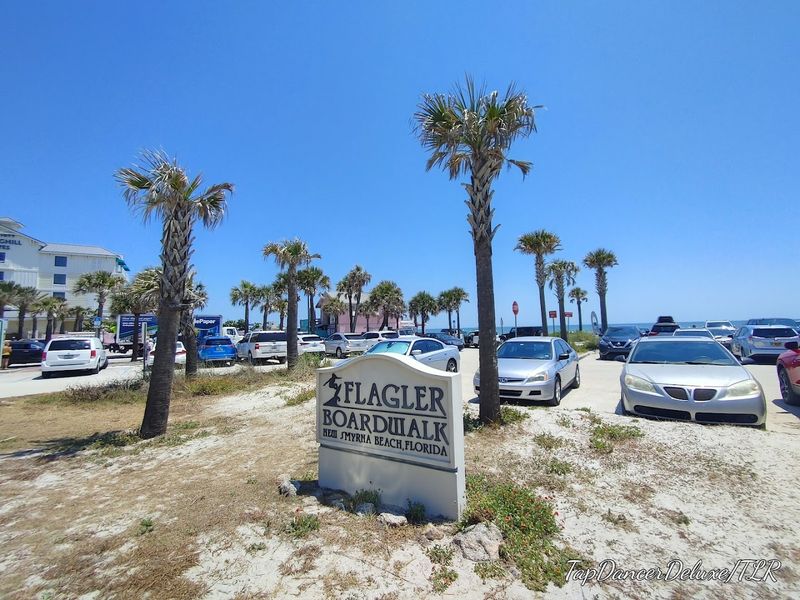 Canaveral National Seashore's Wild Beaches