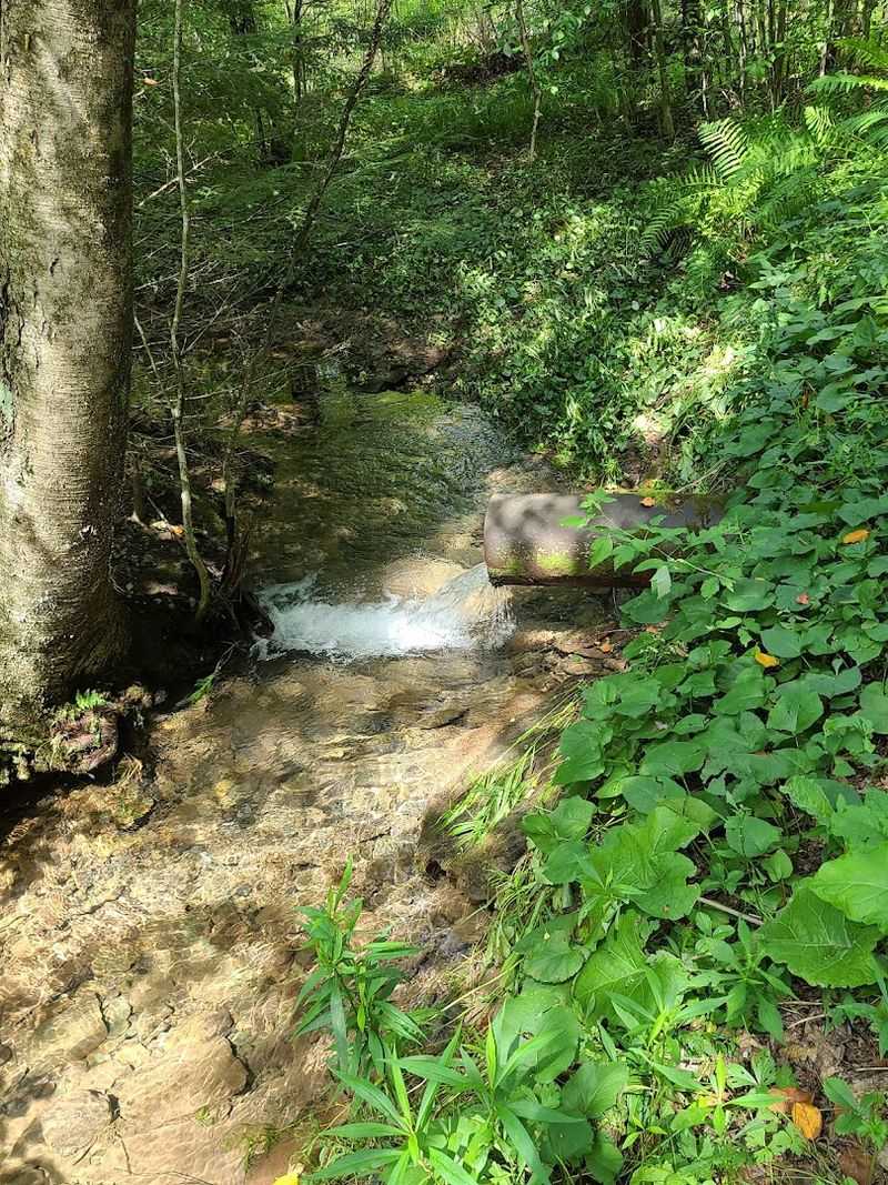 Photography Notes: Small Scenes, Big Feeling