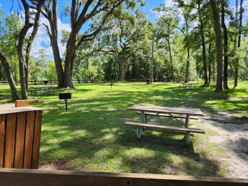 Peaceful Park Amenities That Don't Break the Bank