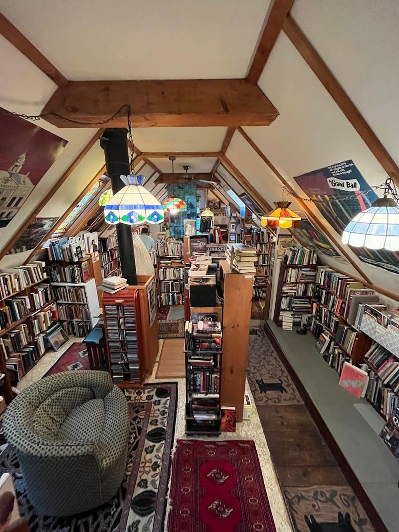 That Sweet Bird Feeder View on the Second Floor