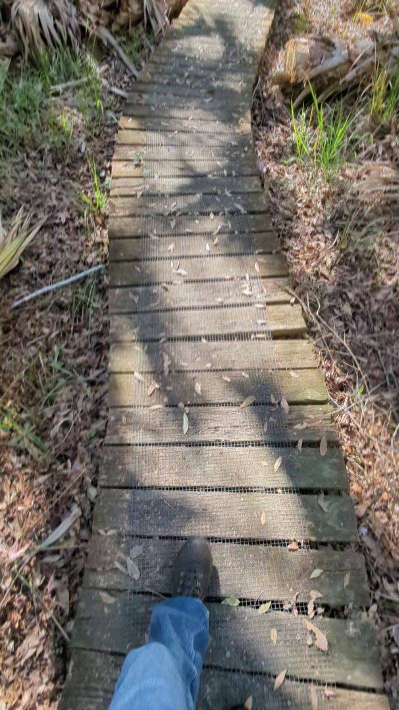 The Infamous Tick Situation You Need to Know
