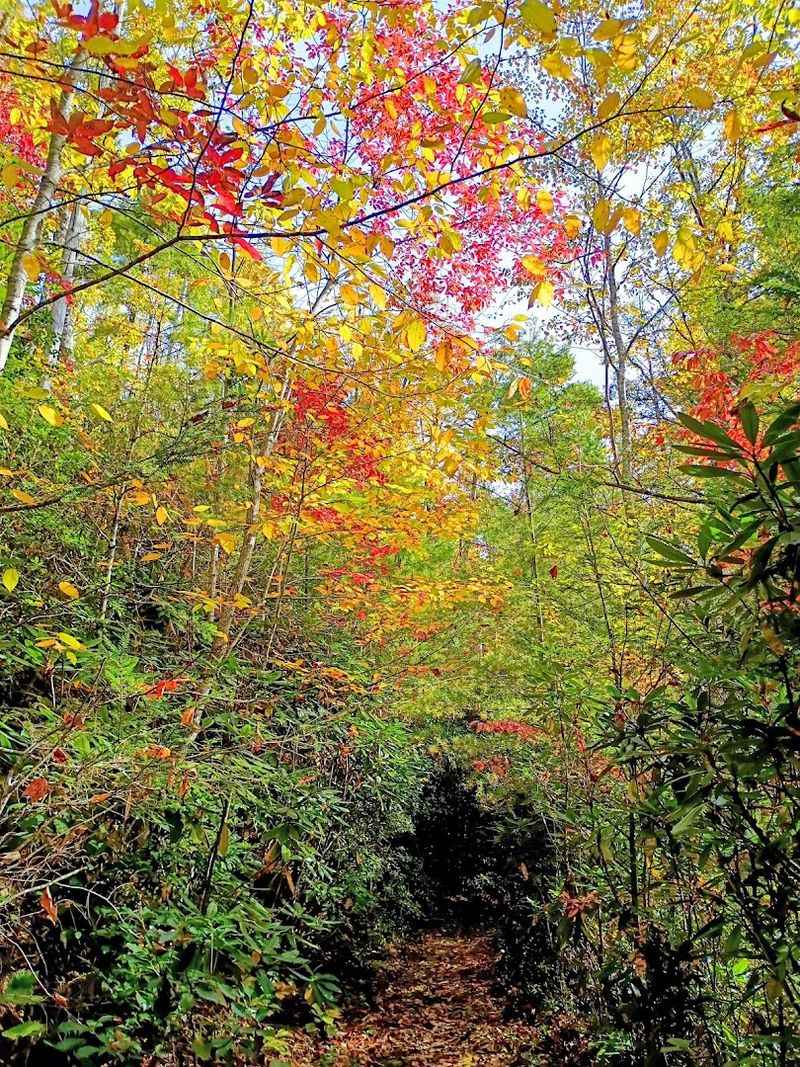 Seasons, Weather, and Best Times