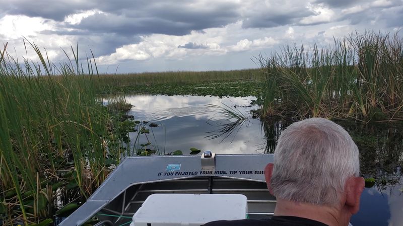 Airboat Adventures That Thrill Without the Crowds