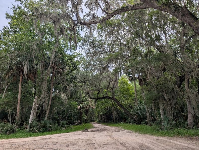 Wildlife Encounters Around Every Bend