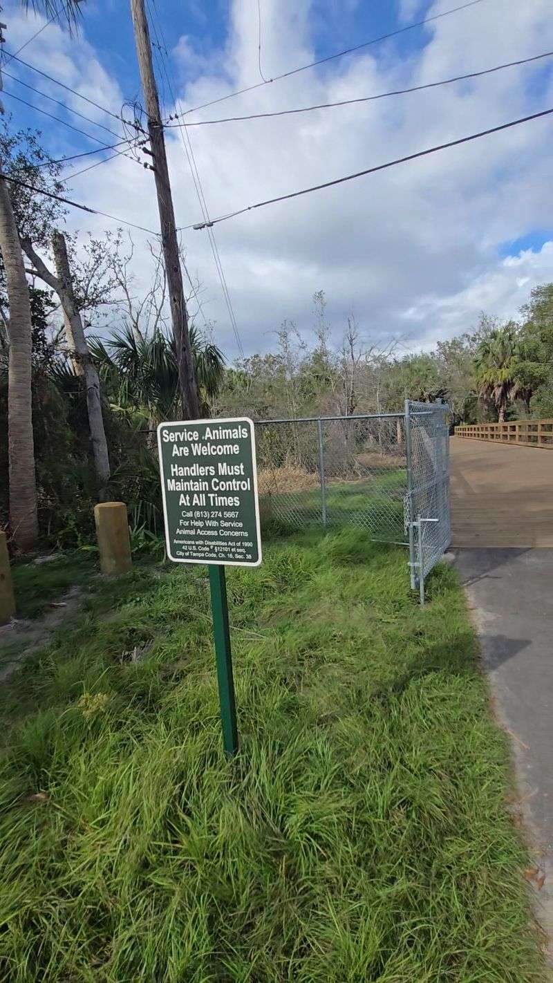 Limited Parking That Requires a Little Strategy