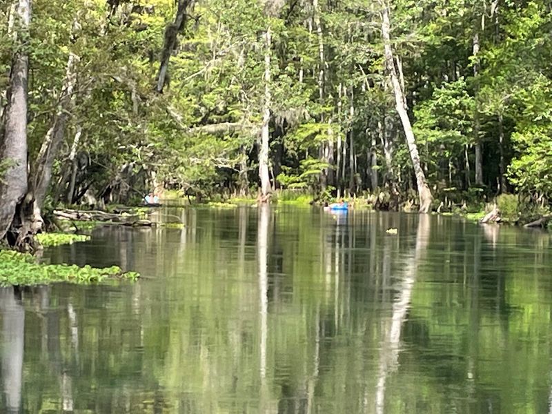 When to Go and How to Beat Crowds