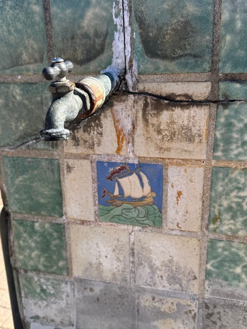 The Ponce De León Connection
