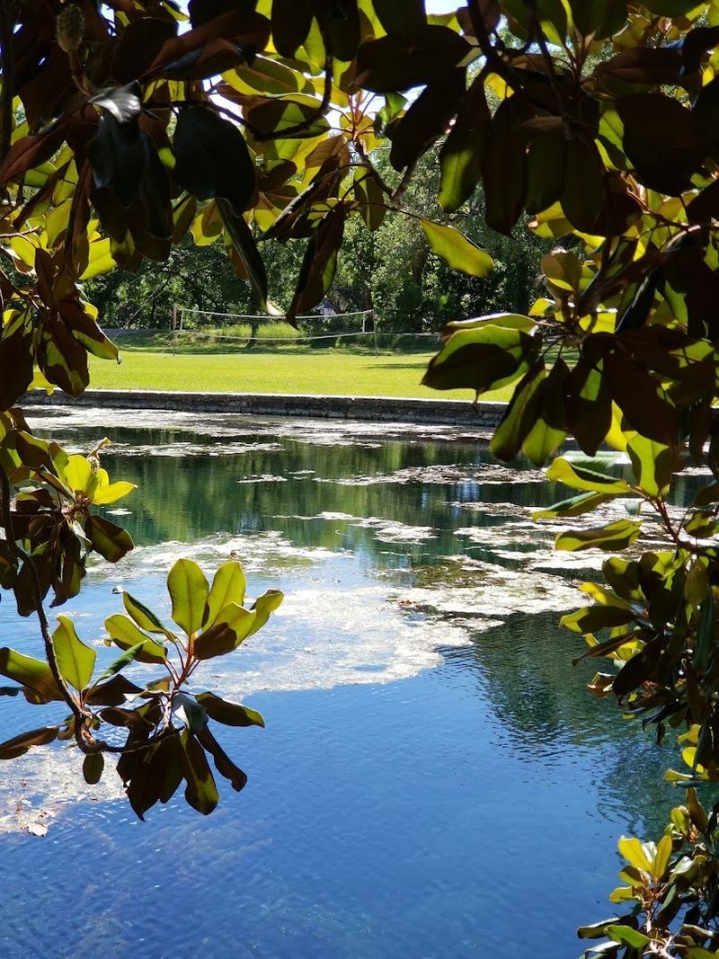 Las Moras Springs