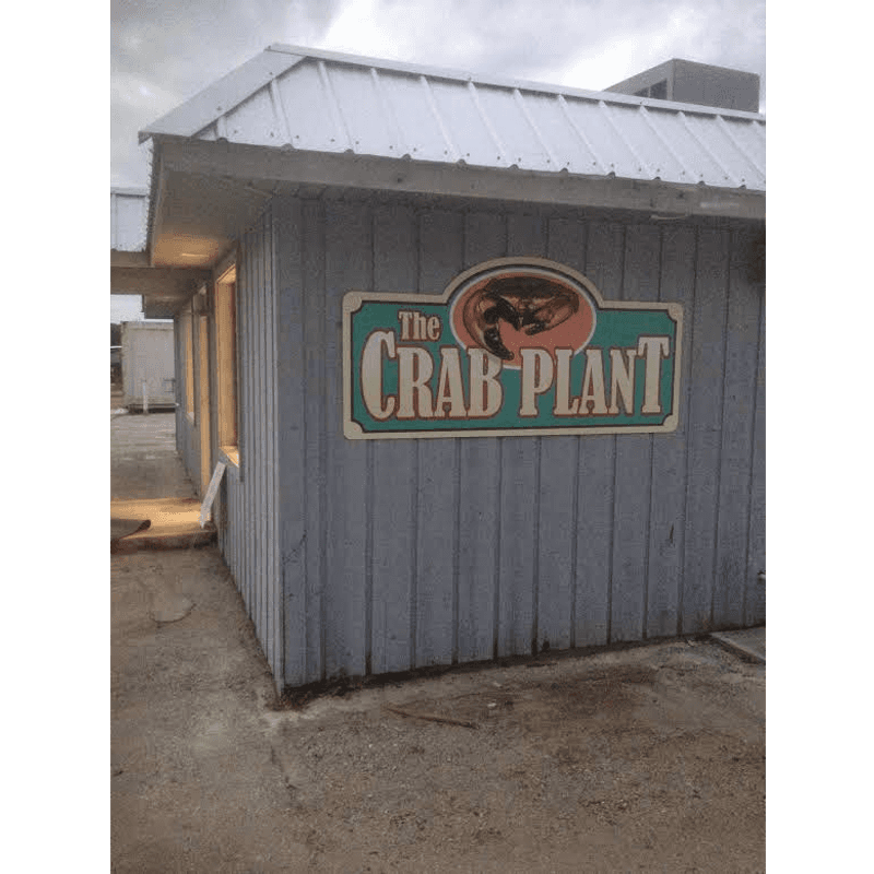 The Crab Plant (Crystal River)