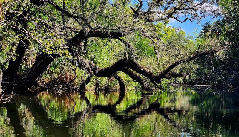 Hike the Nature Trails Through Diverse Ecosystems