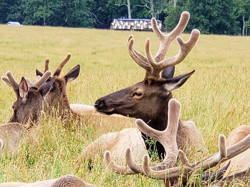 Why this Halifax park keeps earning return visits