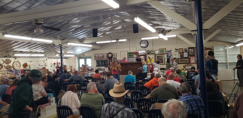 Auctions and Unexpected Collectibles