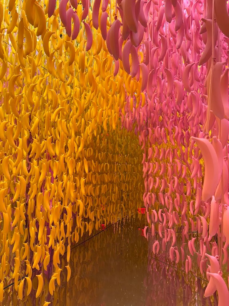 The Hanging Banana Room That Defies Expectations