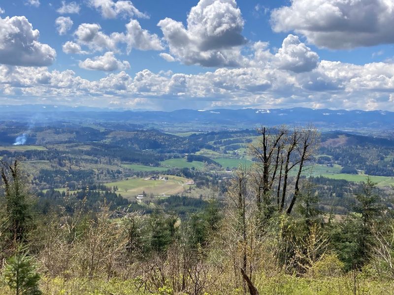 Bald Peak State Scenic Viewpoint