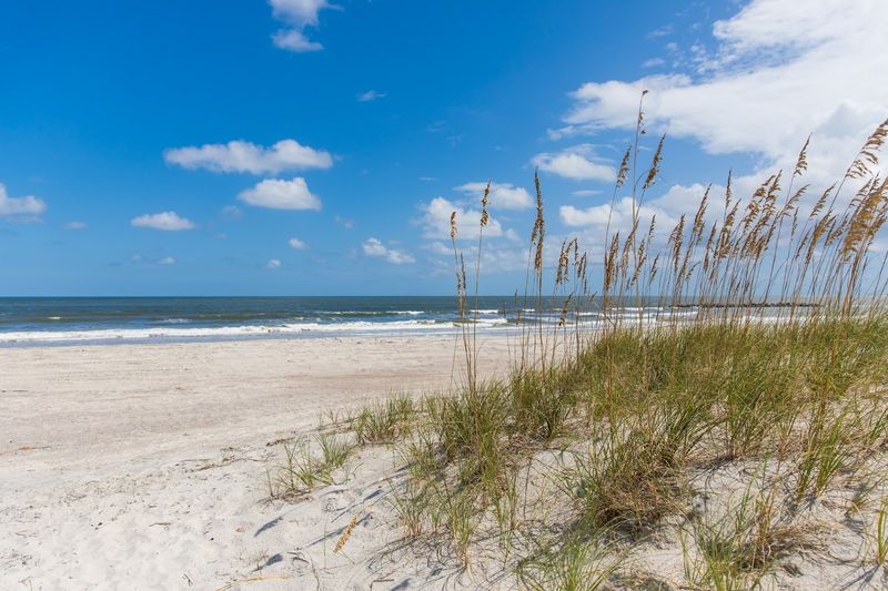 Amelia Island (Northeast Florida)