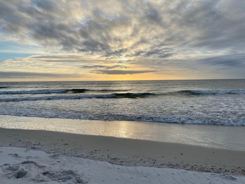 Sea Turtles After Dark