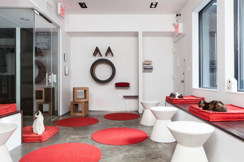 Staff Care, Cleanliness, And Rules