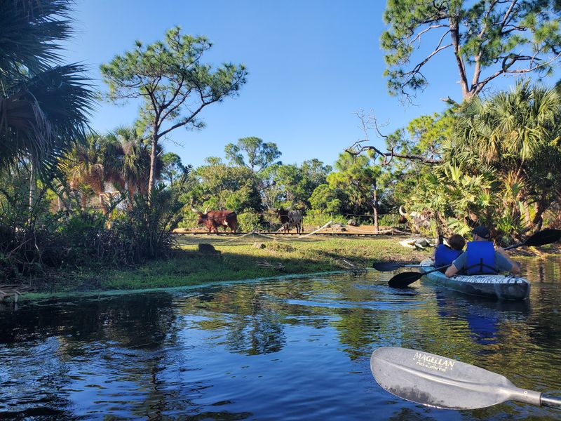 How to Plan Your Visit: Tickets, Reservations, and Best Times to Go