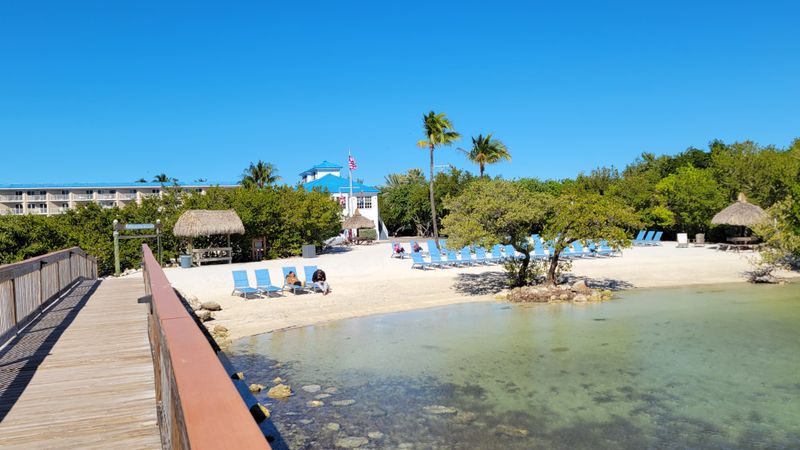 The Best Things to Do in Tavernier, From Snorkeling to Sunset Views