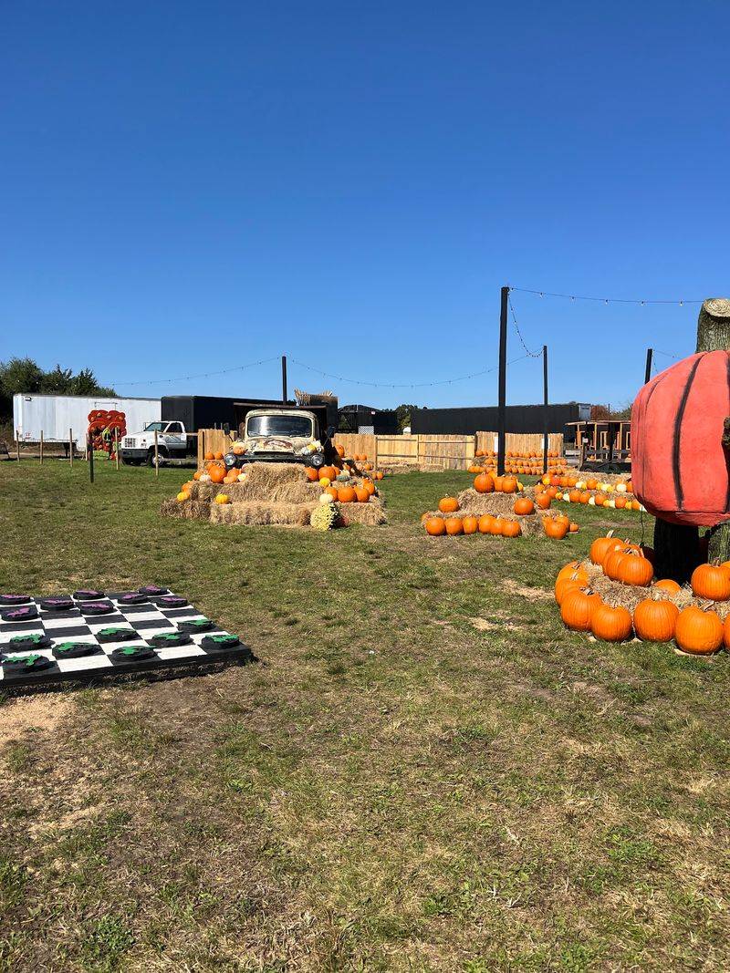 Paint Your Own Pumpkin