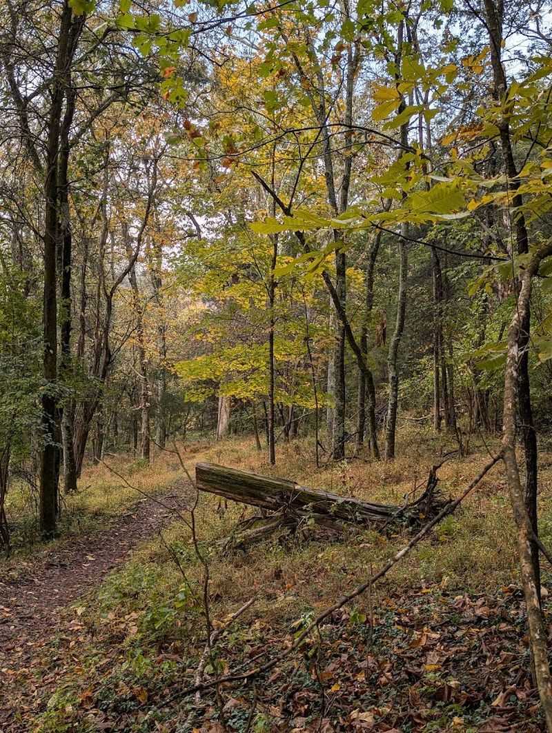 Exploring the Trails, Forests, and Meadows of Owl's Hill