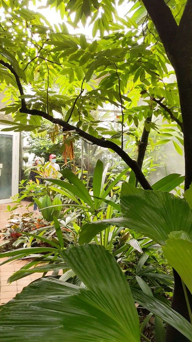 The Tropical Rainforest Exhibit