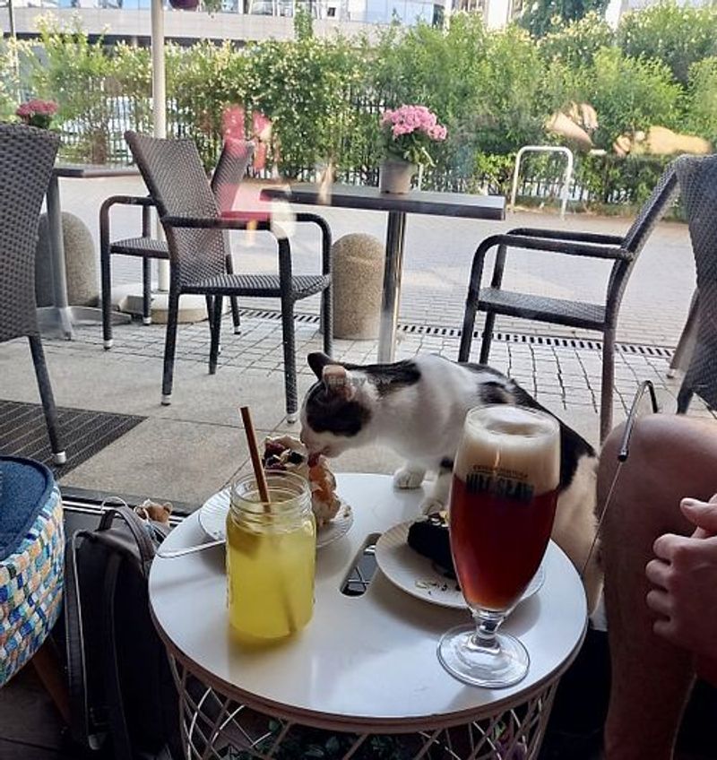 Drinks, Merch, and Little Extras