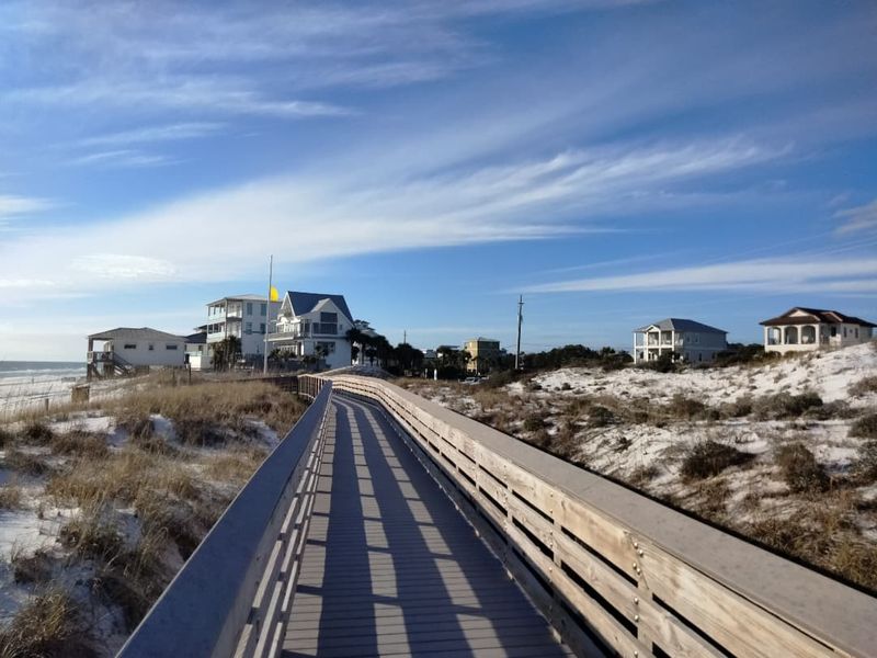 Wildlife Watching in Dune Habitats